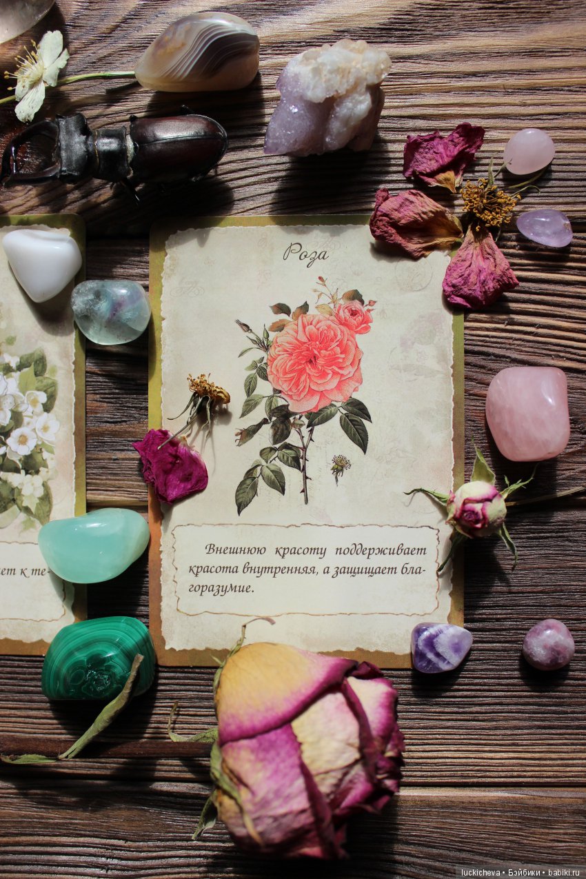 Мой Волшебный Гербарий. Онлайн игра "Получи письмо из Волшебного сада"