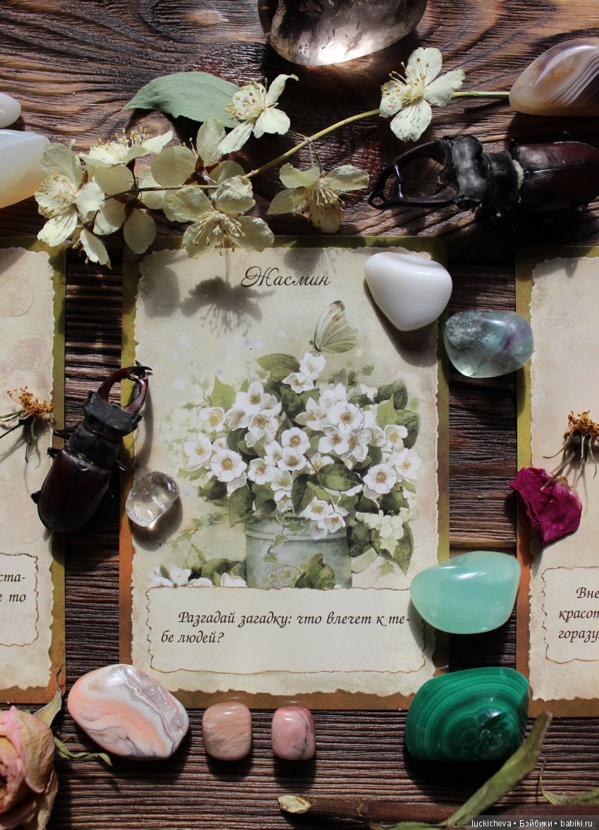 Мой Волшебный Гербарий. Онлайн игра "Получи письмо из Волшебного сада"