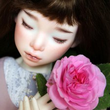 Файлин и сердце Розы