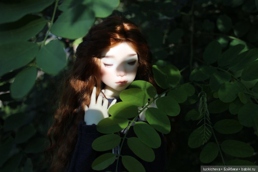 Файлин и Зелёное Спокойствие