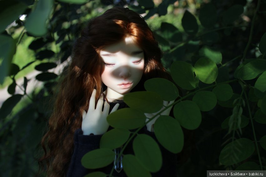 Файлин и Зелёное Спокойствие