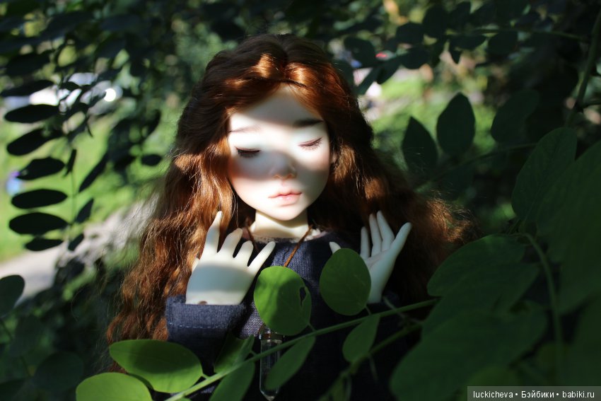 Файлин и Зелёное Спокойствие