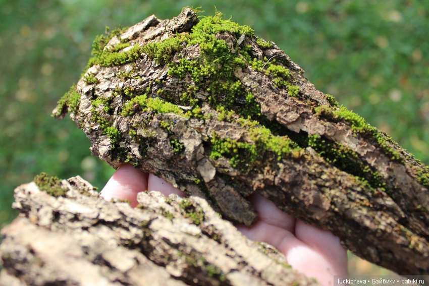 Файлин и её Светлая Осень