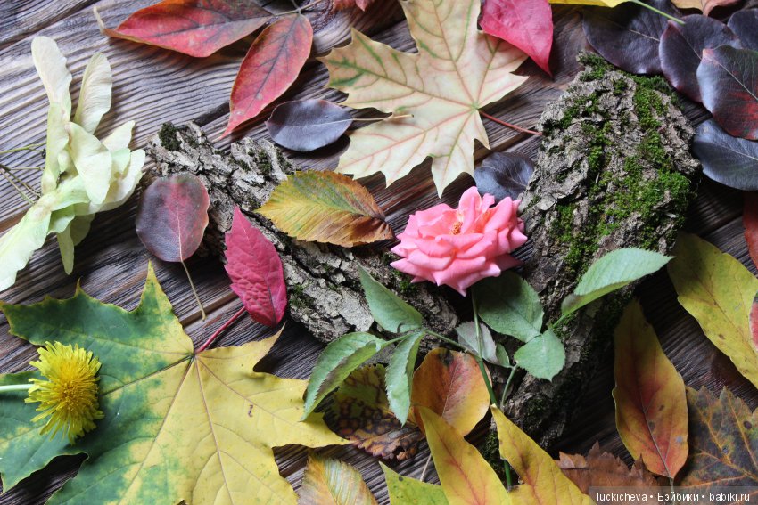 Файлин и её Светлая Осень