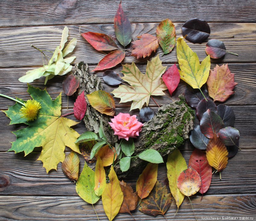 Файлин и её Светлая Осень