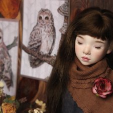 Файлин и Совиное Царство