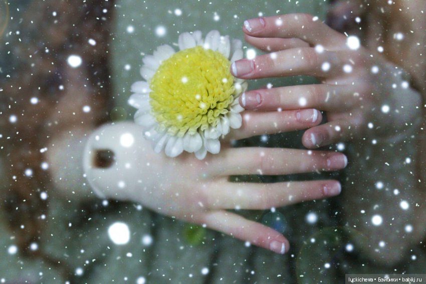 Файлин и Цветы в Снегу — Гибридизация кукол BJD (БЖД): пересадка головы