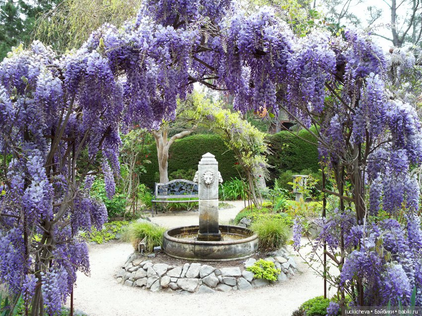 "Хрупкая жизнь", главы VI, VII и VIII | Бэйбики "Хрупкая жизнь", главы VI, VII и VIII (фото 4)