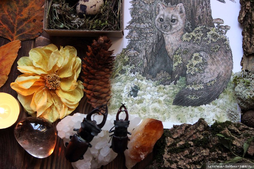 Йольская сказка "Лесной Хранитель" (фото 9)