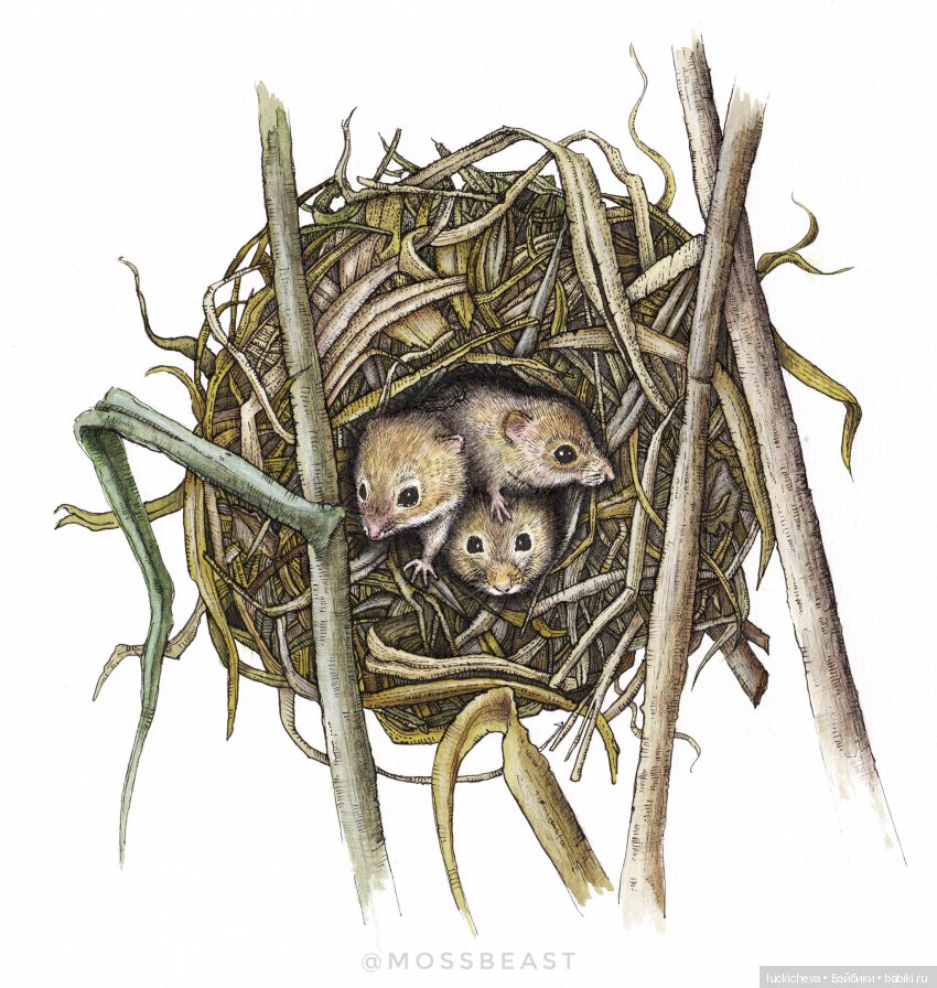 Йольская сказка "Лесной Хранитель"