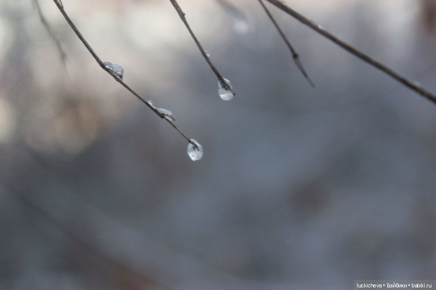 Файлин и Дыхание Зимы — Гибридизация кукол BJD (БЖД): пересадка головы (фото 8)