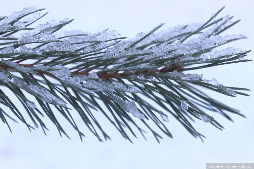 Файлин и Дыхание Зимы — Гибридизация кукол BJD (БЖД): пересадка головы