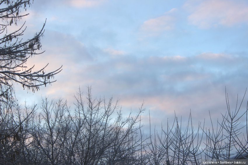 Файлин и Дыхание Зимы — Гибридизация кукол BJD (БЖД): пересадка головы