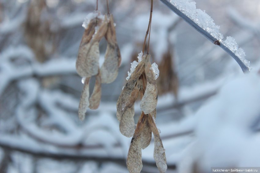 Файлин и Дыхание Зимы — Гибридизация кукол BJD (БЖД): пересадка головы (фото 10)