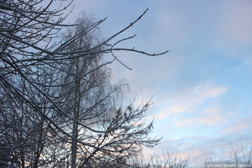 Файлин и Дыхание Зимы — Гибридизация кукол BJD (БЖД): пересадка головы (фото 2)