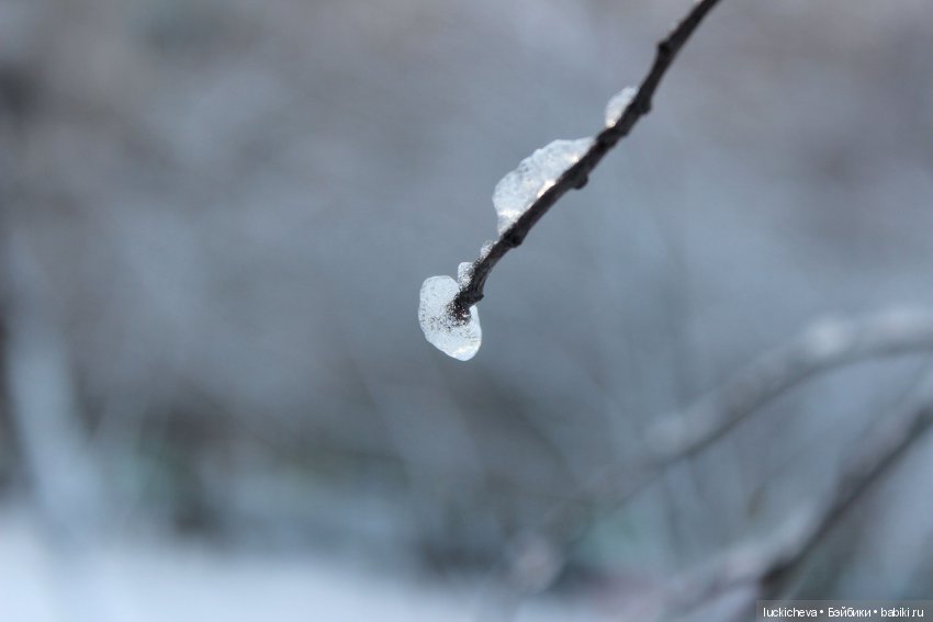 Файлин и Дыхание Зимы — Гибридизация кукол BJD (БЖД): пересадка головы
