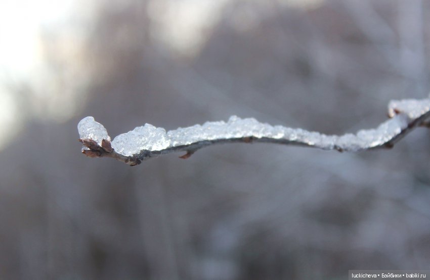 Файлин и Дыхание Зимы — Гибридизация кукол BJD (БЖД): пересадка головы