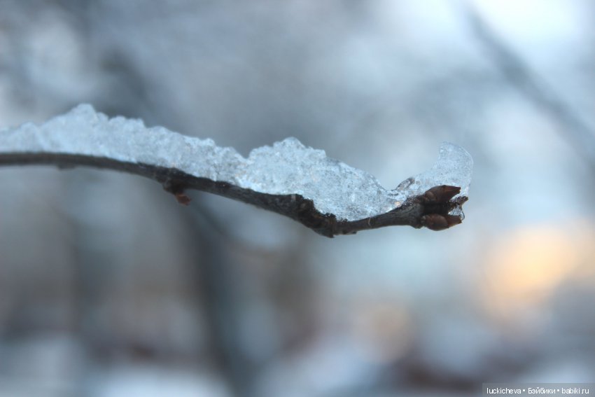 Файлин и Дыхание Зимы — Гибридизация кукол BJD (БЖД): пересадка головы