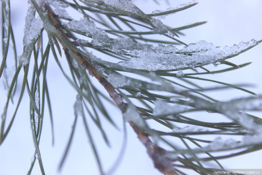 Файлин и Дыхание Зимы — Гибридизация кукол BJD (БЖД): пересадка головы
