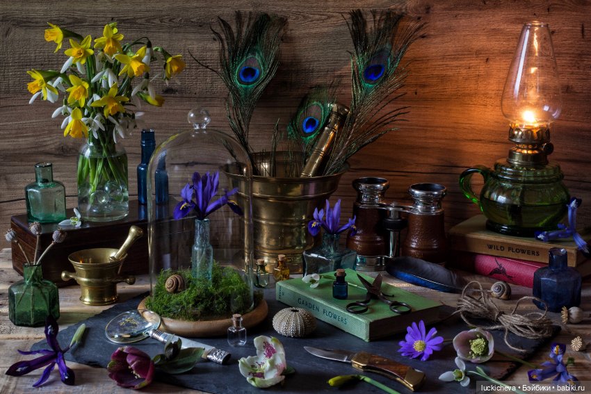 Файлин и Дом Чародейки — Гибридизация кукол BJD (БЖД): пересадка головы