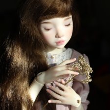 Файлин и весеннее солнышко