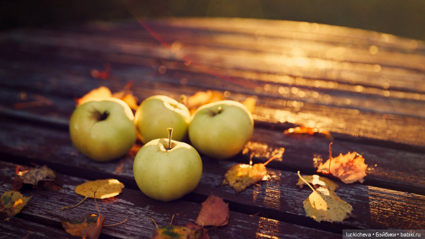 "Хрупкая жизнь", глава XIII (фото 2)