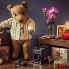 Увлекательная жизнь мягких игрушек в фотографиях автора Marcus Rodriguez