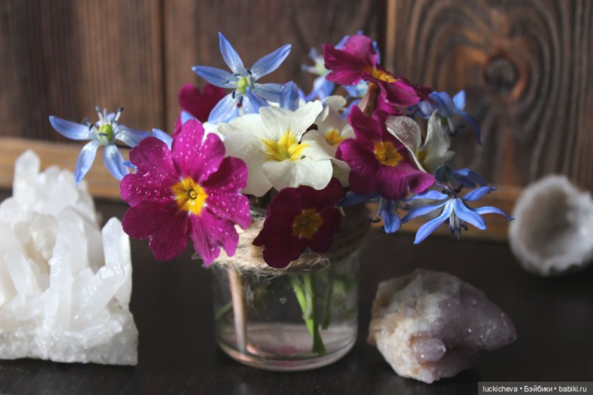 Файлин, весенний букет и печаль чародейки