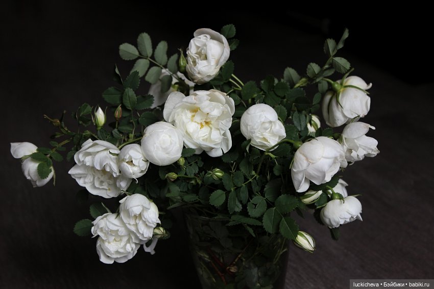 Файлин и Белый Сад — Гибридизация кукол BJD (БЖД): пересадка головы