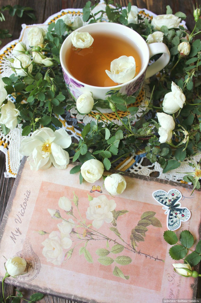 Файлин и Белый Сад — Гибридизация кукол BJD (БЖД): пересадка головы