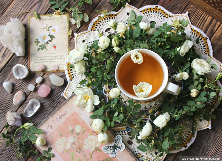 Файлин и Белый Сад — Гибридизация кукол BJD (БЖД): пересадка головы