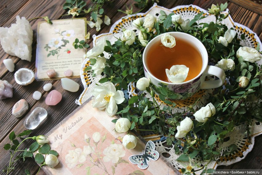 Файлин и Белый Сад — Гибридизация кукол BJD (БЖД): пересадка головы