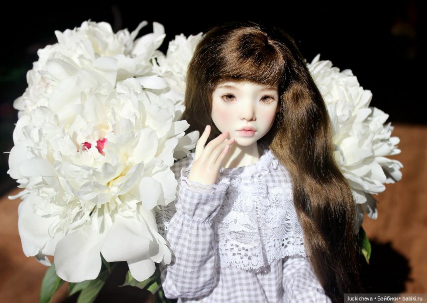 Файлин и солнечное утро с ароматом пионов. Сказка о Пиониве