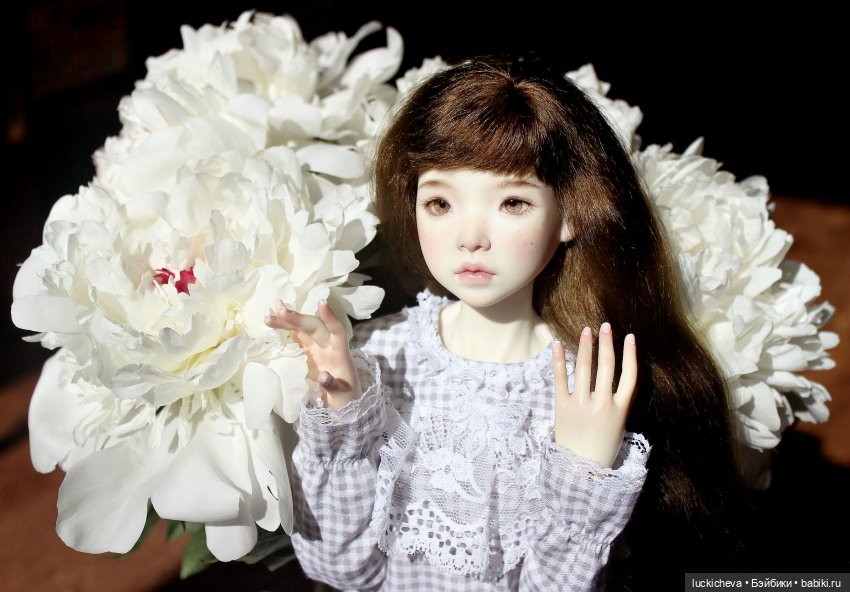 Файлин и солнечное утро с ароматом пионов. Сказка о Пиониве