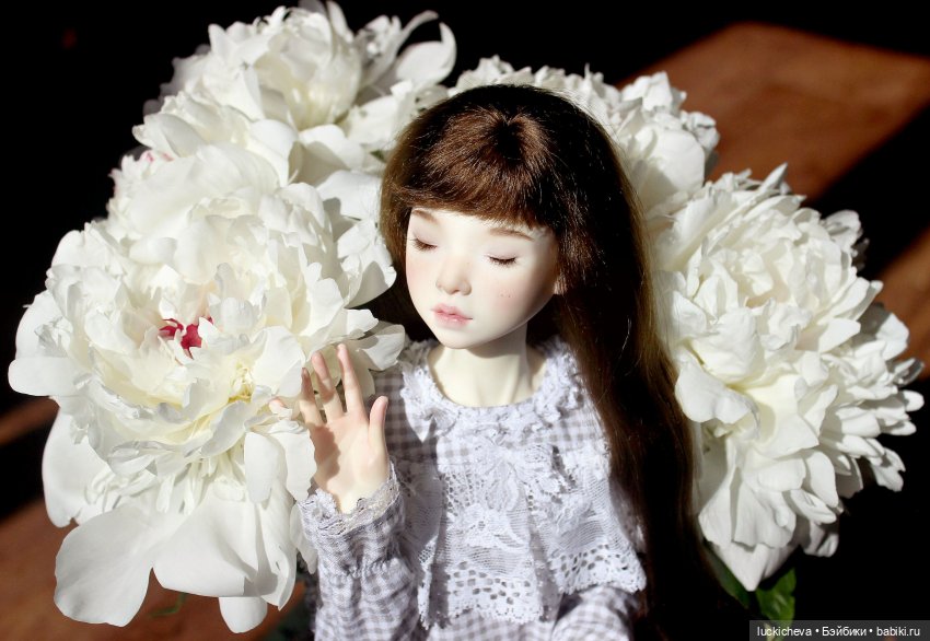 Файлин и солнечное утро с ароматом пионов. Сказка о Пиониве