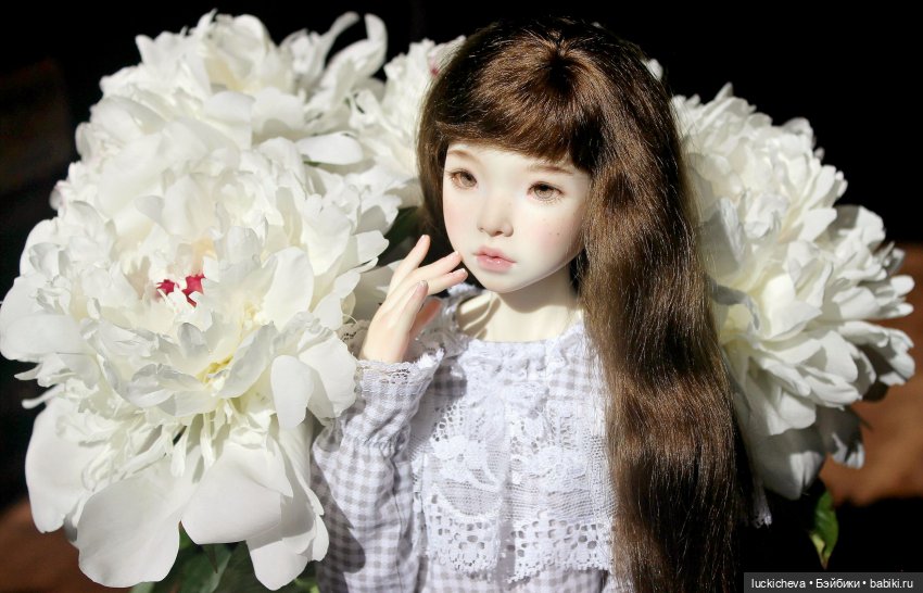 Файлин и солнечное утро с ароматом пионов. Сказка о Пиониве