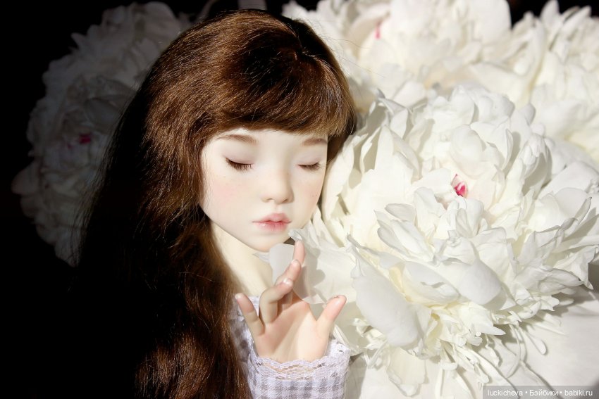 Файлин и солнечное утро с ароматом пионов. Сказка о Пиониве (фото 6)