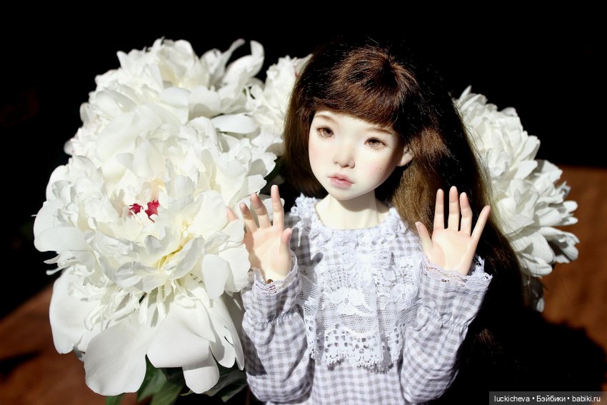 Файлин и солнечное утро с ароматом пионов. Сказка о Пиониве