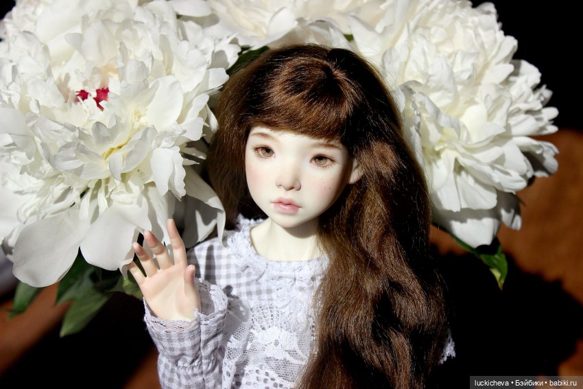 Файлин и солнечное утро с ароматом пионов. Сказка о Пиониве