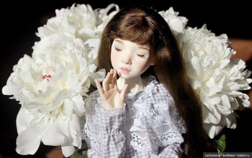 Файлин и солнечное утро с ароматом пионов. Сказка о Пиониве