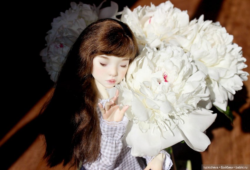 Файлин и солнечное утро с ароматом пионов. Сказка о Пиониве (фото 5)