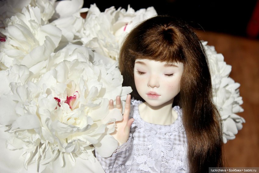 Файлин и солнечное утро с ароматом пионов. Сказка о Пиониве