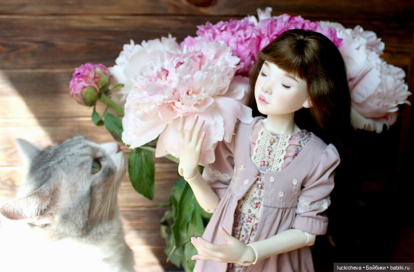 Файлин, Шикарная Пионовость и Пионовая Шикарность (фото 7)