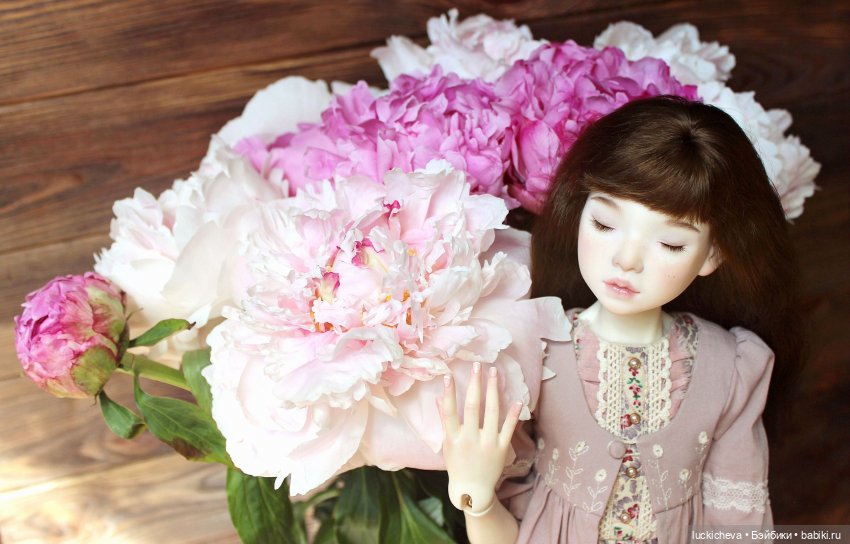 Файлин, Шикарная Пионовость и Пионовая Шикарность (фото 4)