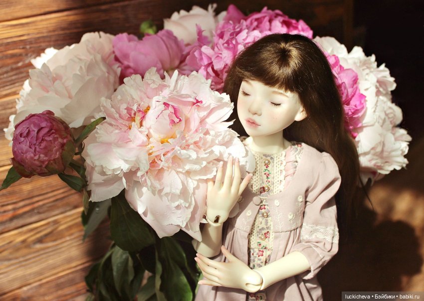 Файлин, Шикарная Пионовость и Пионовая Шикарность