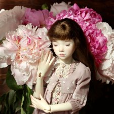 Файлин, Шикарная Пионовость и Пионовая Шикарность