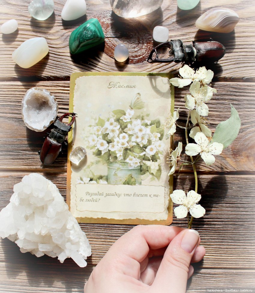 Файлин и Жасминовые Заметки