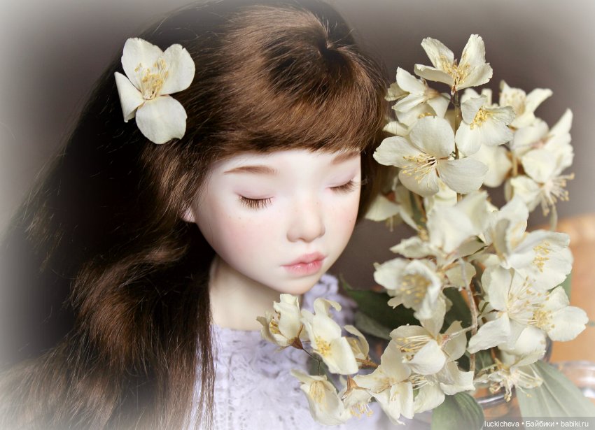 Файлин и Жасминовые Заметки