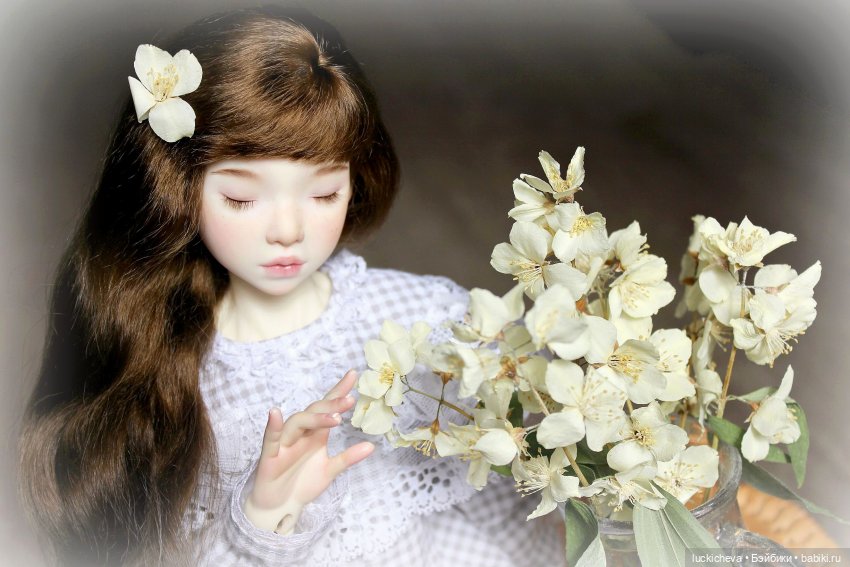 Файлин и Жасминовые Заметки