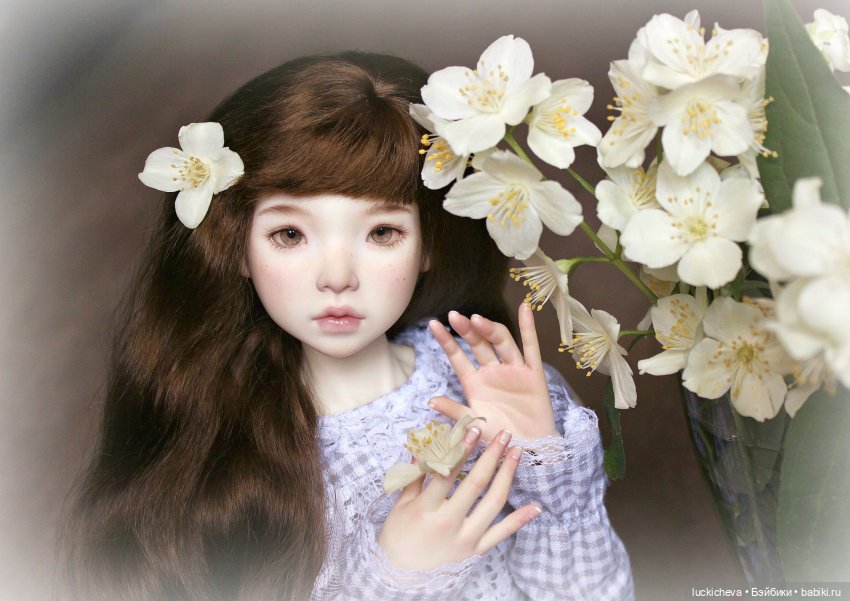 Файлин и Жасминовые Заметки (фото 8)